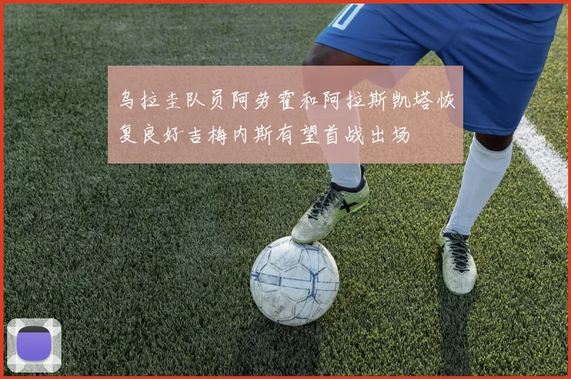 乌拉圭队员阿劳霍和阿拉斯凯塔恢复良好吉梅内斯有望首战出场