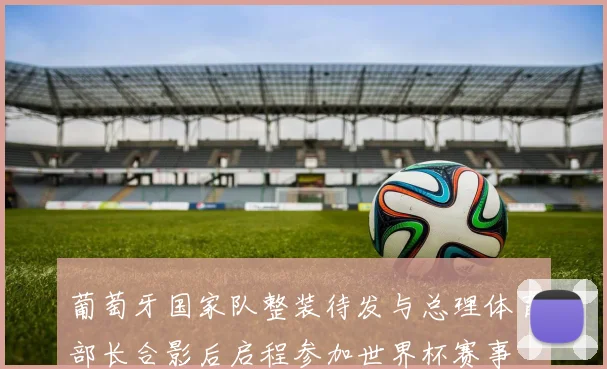 葡萄牙国家队整装待发与总理体育部长合影后启程参加世界杯赛事